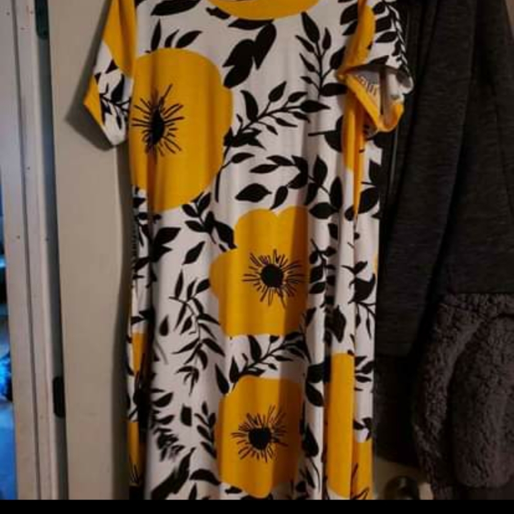 LulaRoe XL Jessie swing dress with pockets